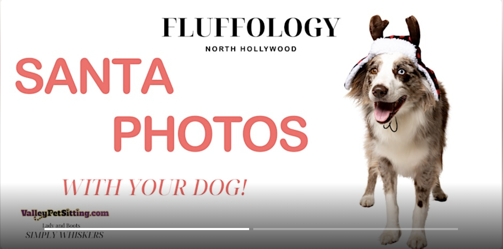 Pet Photos With Santa